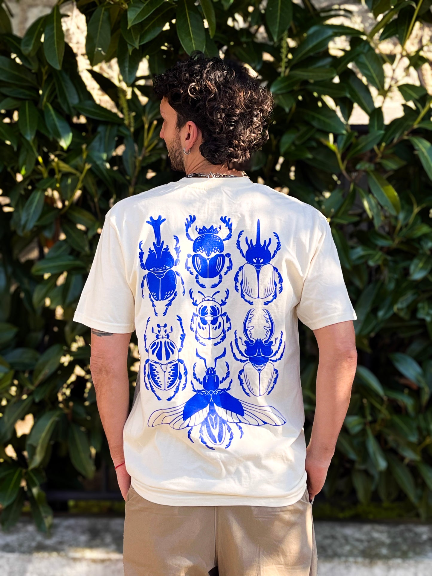 BEETLE COLLECTION